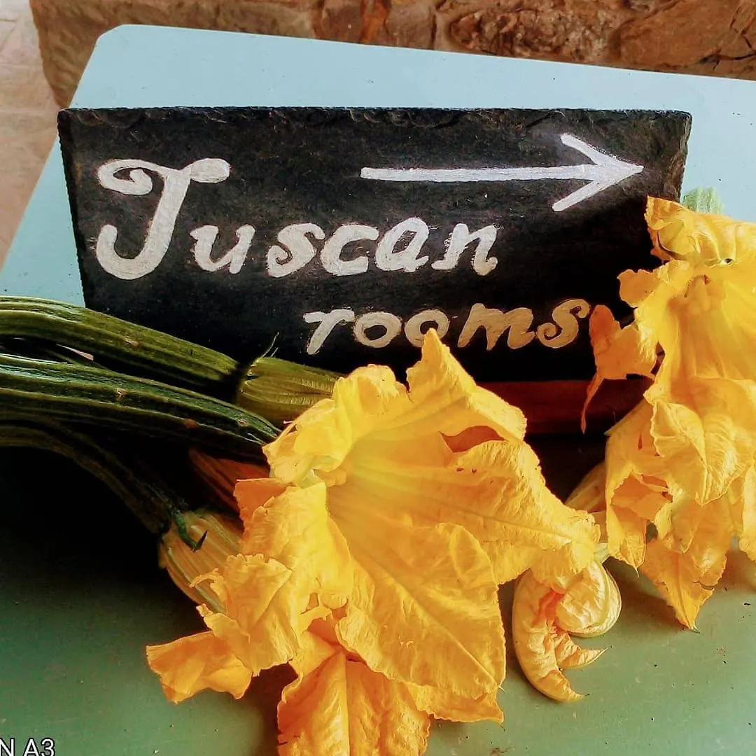 Tuscan Rooms Greve in Chianti Apartment