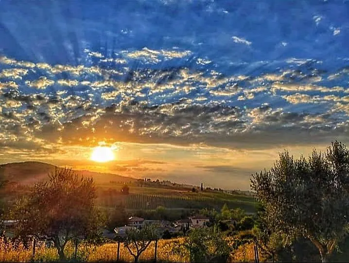 Apartment Tuscan Rooms Greve in Chianti